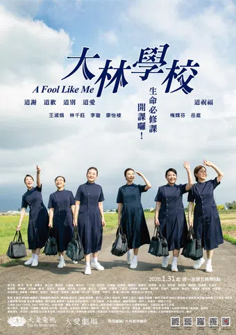 a fool like me 2020 poster