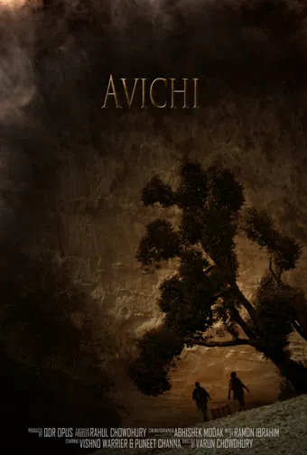 avichi 2017 poster