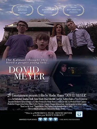 dovid meyer 2013 poster