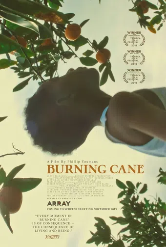 burning cane 2019 poster