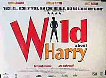 wild about harry 2000 poster