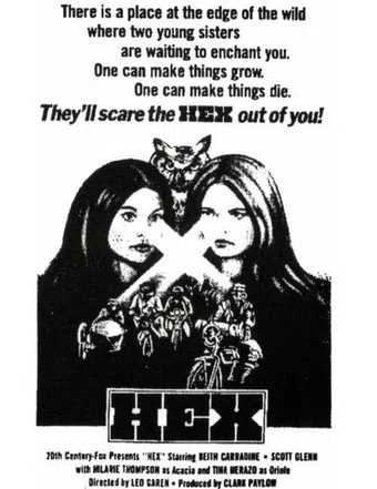 hex 1973 poster