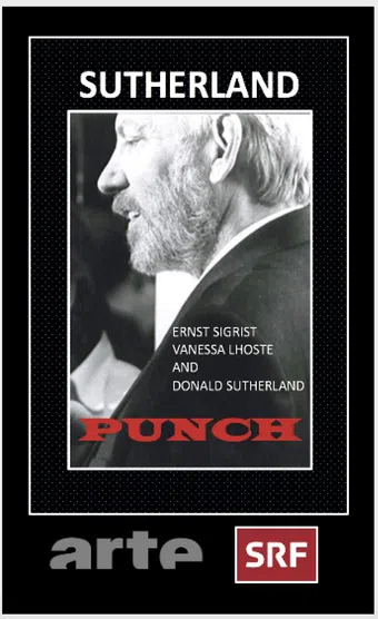 punch 1993 poster