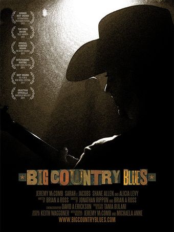 big country blues 2011 poster