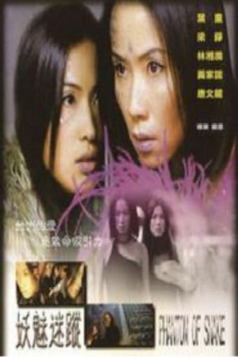 yao mei mi zong 2000 poster