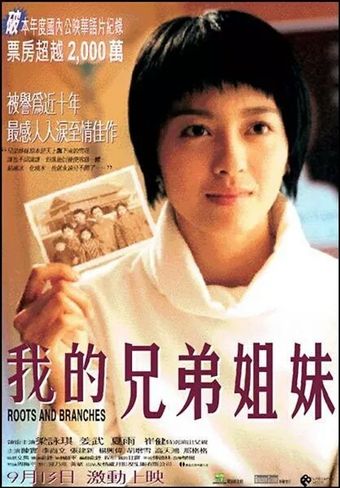 wo de xiong di jie mei 2001 poster