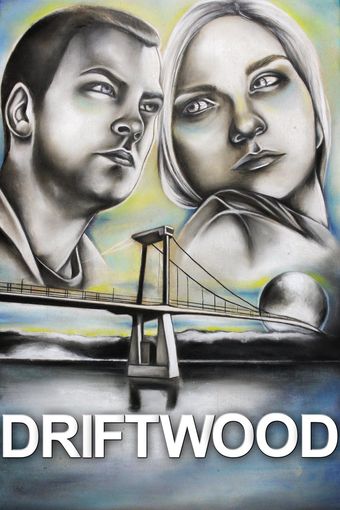 driftwood: a film by patrick strevens 2016 poster