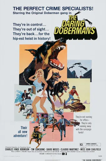 the daring dobermans 1973 poster