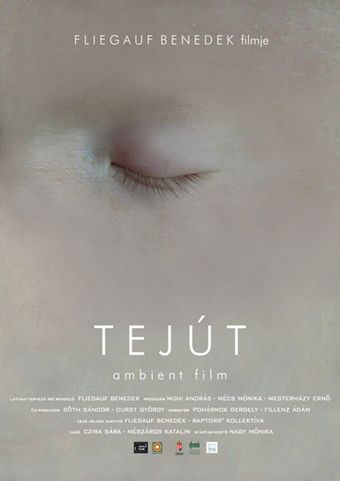 tejút 2007 poster