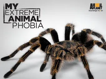 my extreme animal phobia 2011 poster