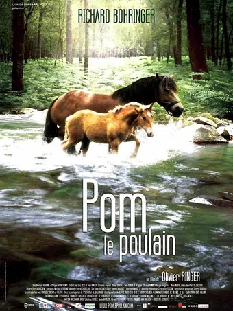 pom, le poulain 2006 poster