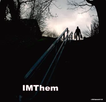 imthem 2021 poster