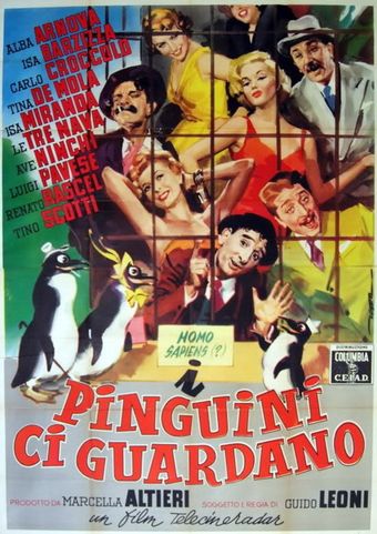 i pinguini ci guardano 1955 poster