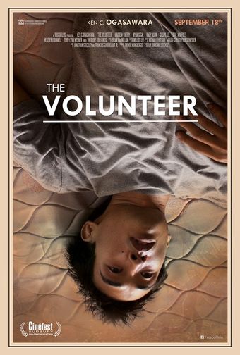 the volunteer 2013 poster