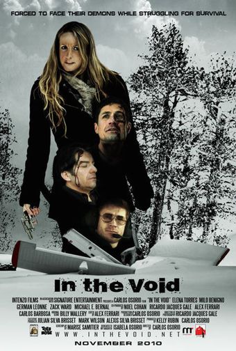 in the void 2013 poster