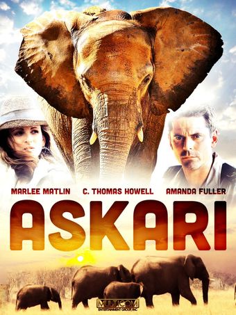 askari 2001 poster