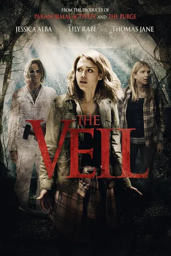 the veil 2016 poster