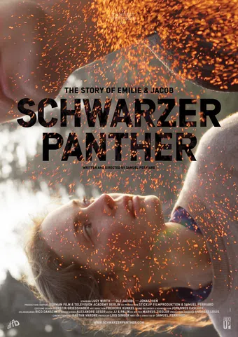 schwarzer panther 2014 poster