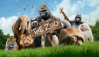 the zoo 2017 poster