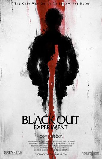 the blackout experiment 2021 poster