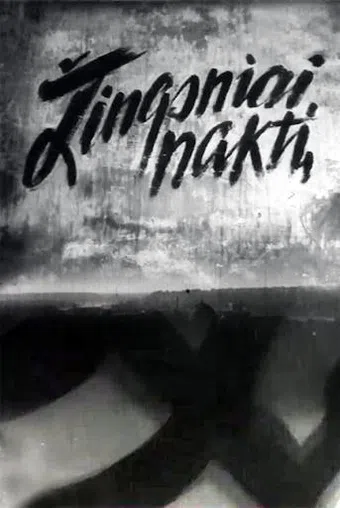 zingsniai nakti 1962 poster