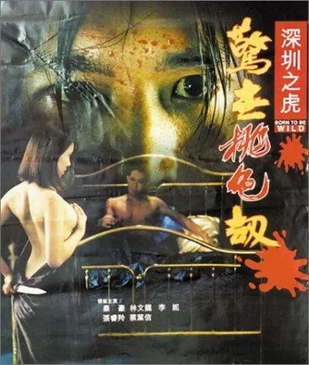 sam jan ji foo: ging sai to sik gip 1995 poster