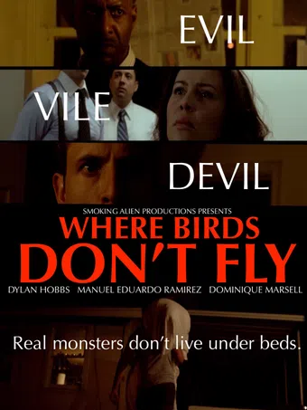 where birds don't fly 2017 poster