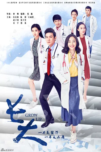 zhang da 2015 poster