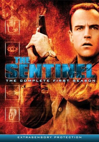 the sentinel 1996 poster