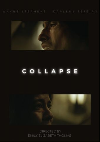 collapse 2045 2020 poster