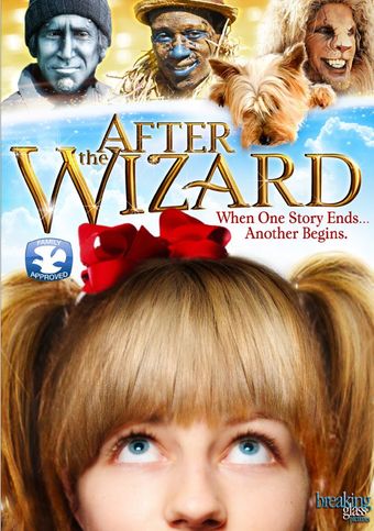 after the wizard 2011 poster