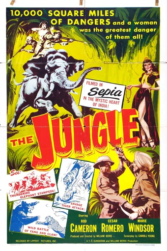 the jungle 1952 poster