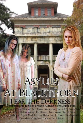 asylum at blackthorn 2016 poster