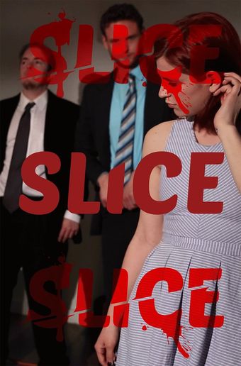 slice 2014 poster