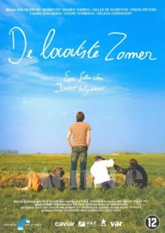 de laatste zomer 2007 poster