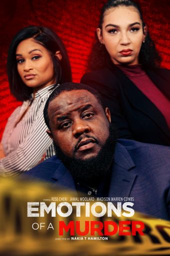 emotions of a murder 2024 poster