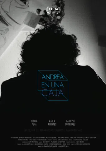 andrea within a box 2014 poster