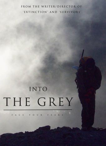 into the grey poster