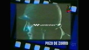 pozo de zorro 1999 poster