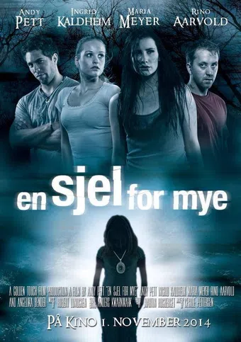 en sjel for mye 2014 poster