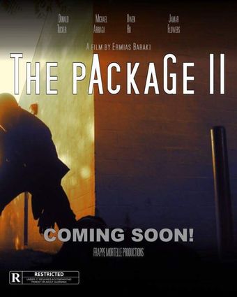 the package ii 2018 poster