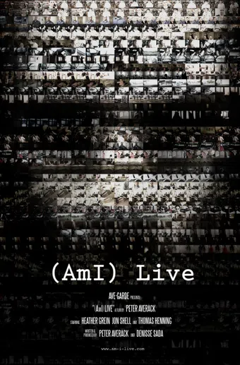 (ami) live 2011 poster