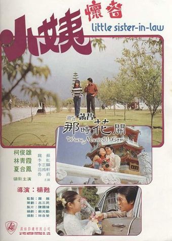 xiao yi huai chun 1975 poster