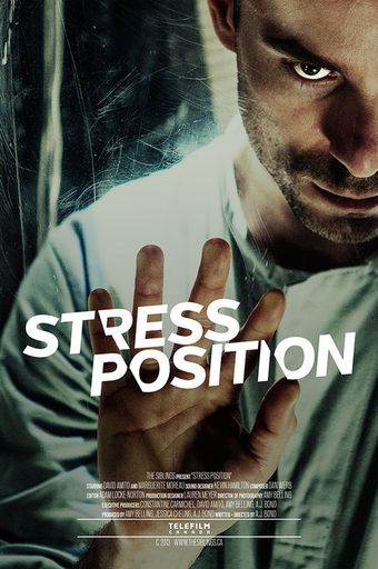 stress position 2013 poster