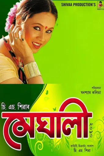 meghali 2010 poster