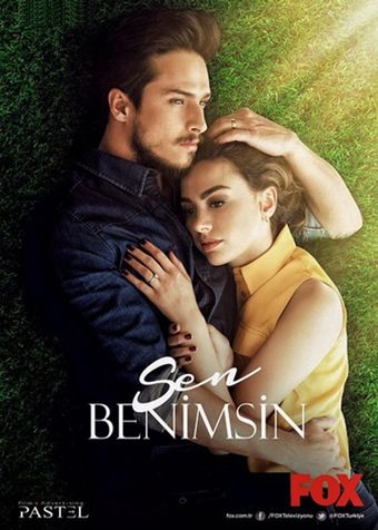 sen benimsin 2015 poster