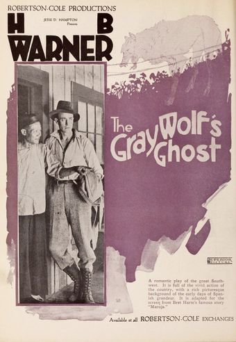 the gray wolf's ghost 1919 poster