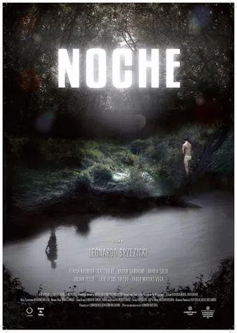 noche 2013 poster