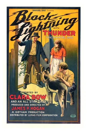 black lightning 1924 poster