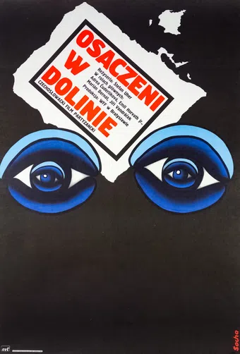 dolina 1973 poster